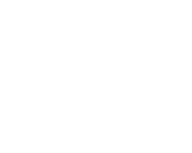 Saam logo def WIT